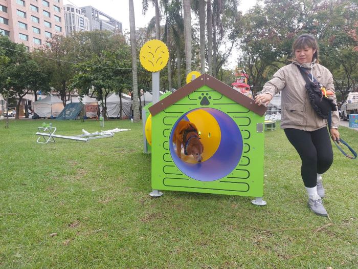 《圖說》寵物鑽桶，讓毛寶貝玩得不亦樂乎。〈動保處提供〉