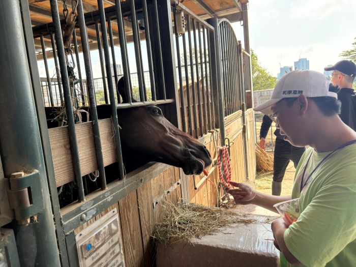 《圖說》學員體驗餵食馬匹。〈警察局提供〉