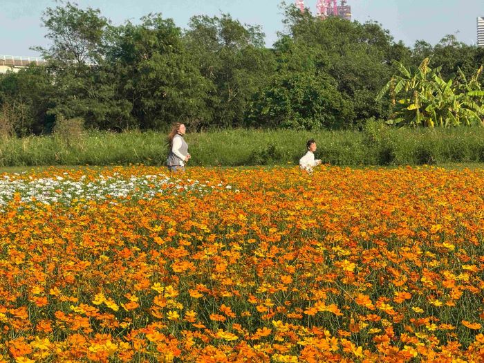 《圖說》親子跑跑跳跳。〈高灘處提供〉