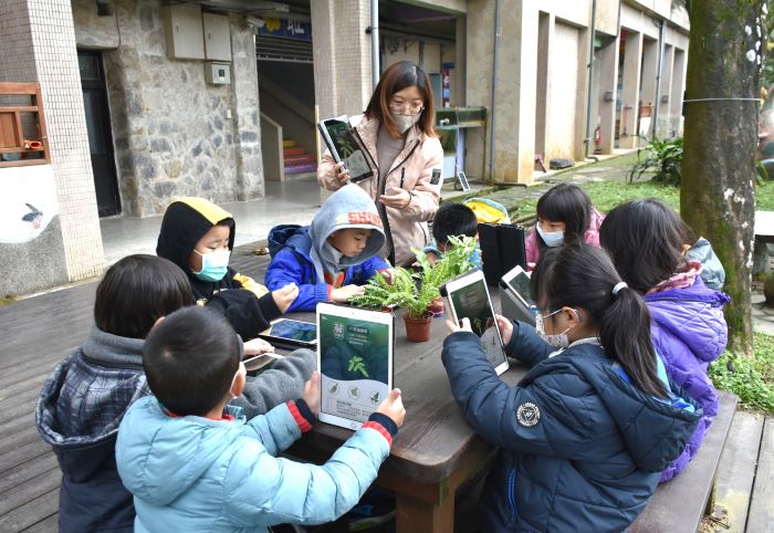 《圖說》大坪國小-善用APP觀植物，涵養生態永續。〈教育局提供〉