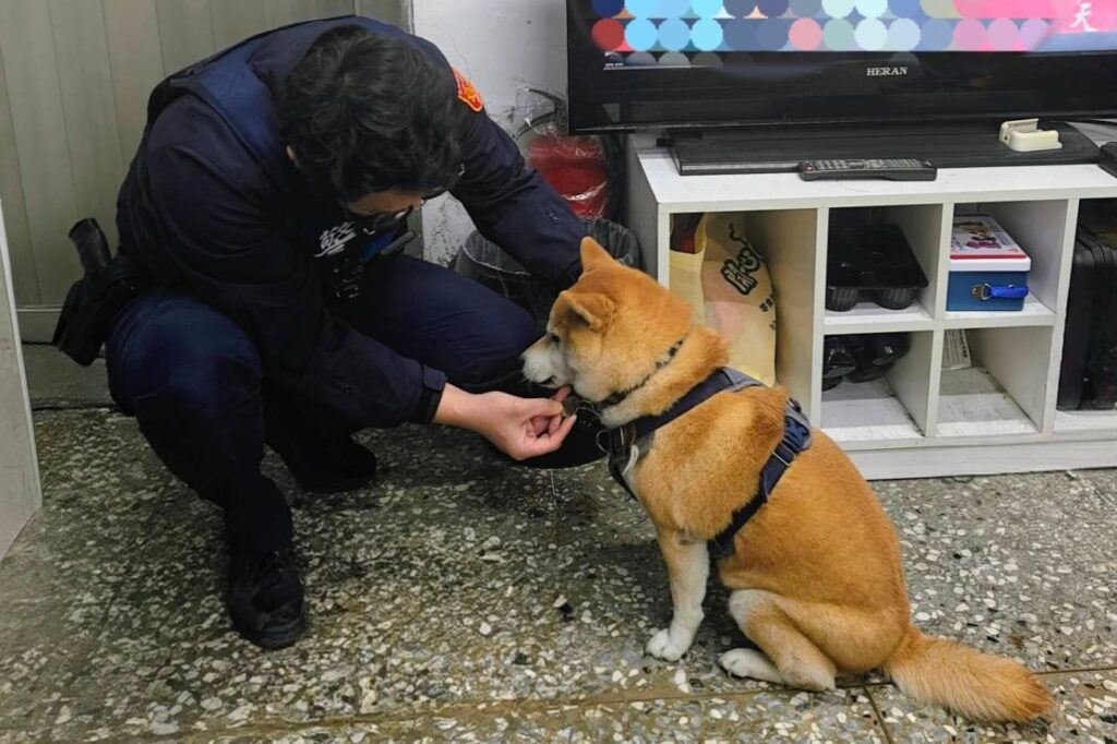 MEITU 20260128 104559841