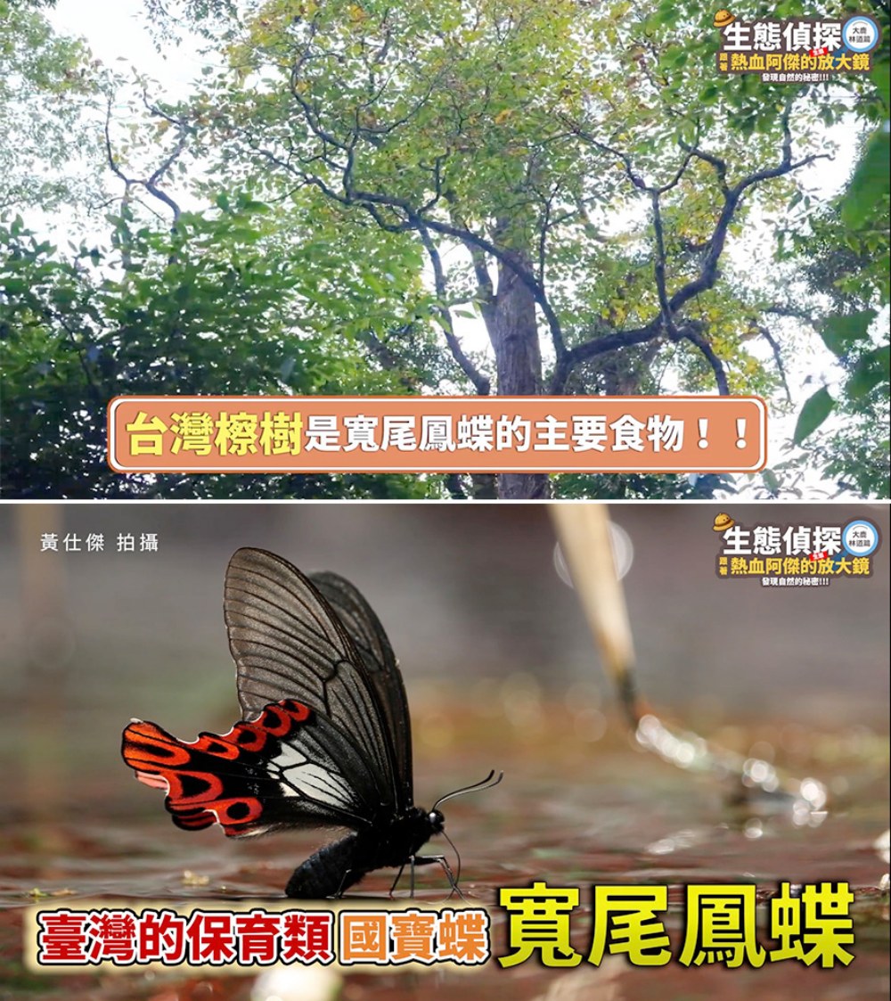 03%E4%B8%AD%E8%8F%AF%E9%9B%BB%E4%BF%A1%E6%8E%A8%E5%8B%95%E5%A4%A7%E9%B9%BF%E6%9E%97%E9%81%93%E9%80%A0%E6%9E%97%E5%BE%A9%E8%82%B2