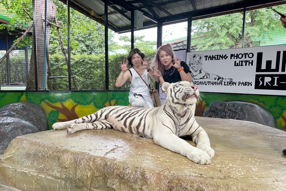 「紹謙旅行社」以服務韓國與泰國為主軸   重新定義精緻小包車團體旅遊新體驗