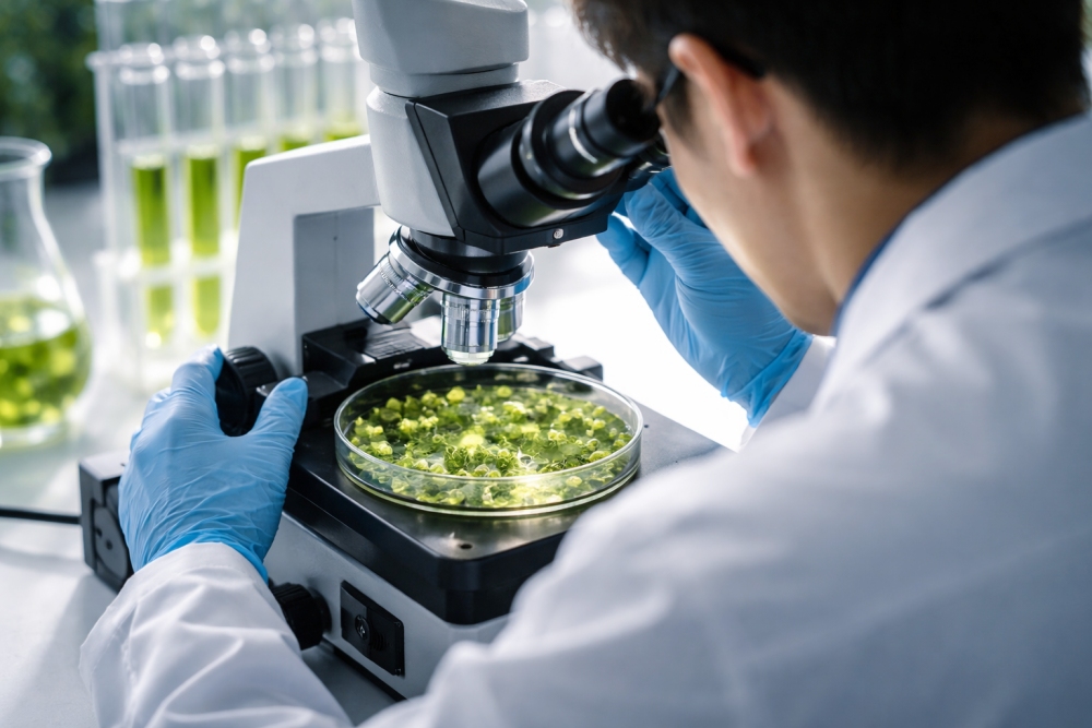 ACMB 收購植物藥四項專利   邁向全球生物科技領域新賽道