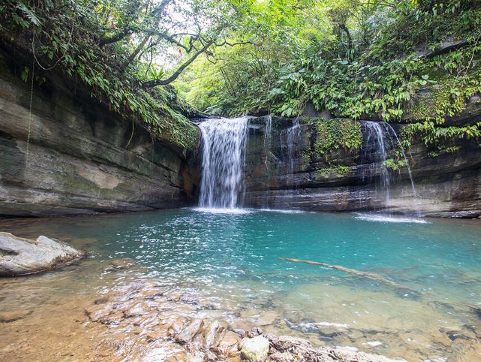 新北春夜探尋賞螢   微笑山線生態旅正夯