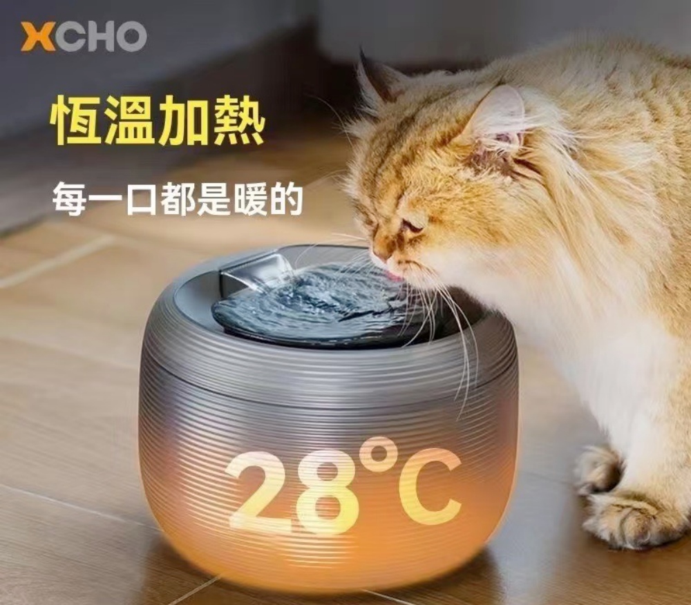 新世代「寵物用品專賣店」崛起  Gurupet以嚴選商品與實測精神打造安心寵物生活