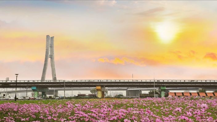 新北大都會公園花海迎春  春日漫步3公頃夢幻花園