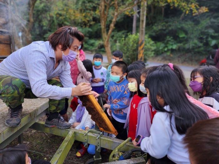 連假走春遊三峽  尋花嚐蜜揭開蜂箱祕密