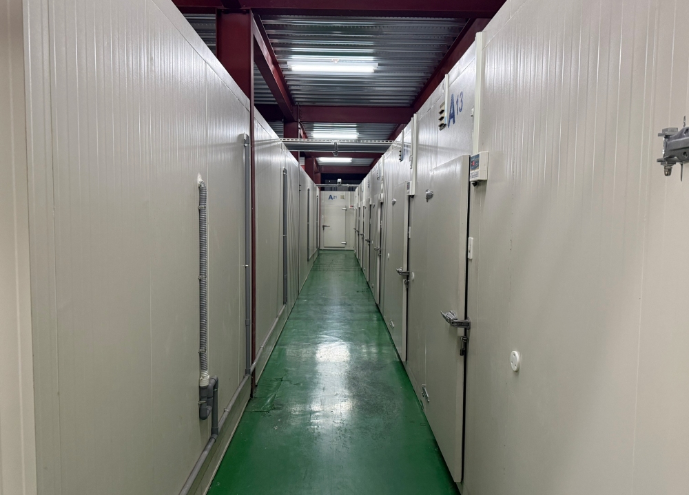 台中冷凍倉儲出租與冷凍櫃出租怎麼選  企業冷鏈配置新趨勢