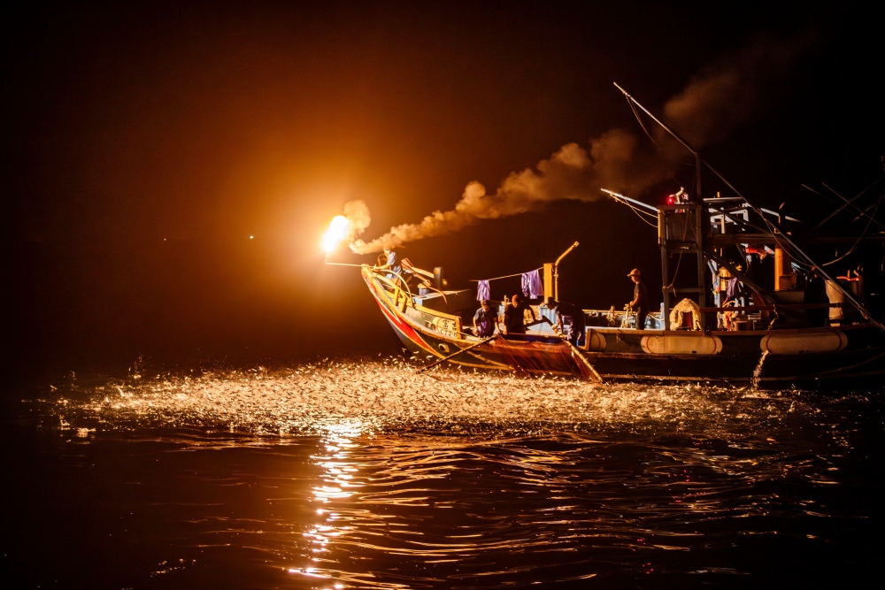 火光入海、魚群狂躍  金山蹦火仔5月開跑！蹦火漁法登場 見證海上奇景