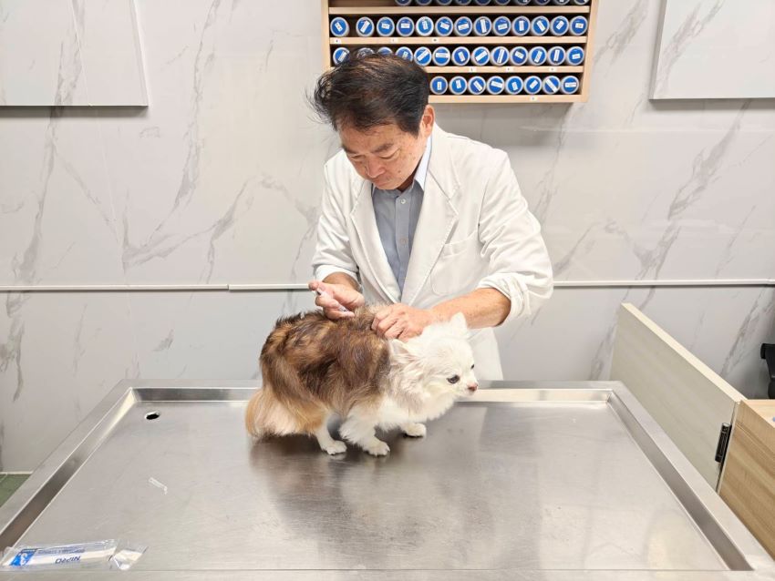 肯定獸醫守護毛寶貝健康   新北表揚20家績優動物醫院