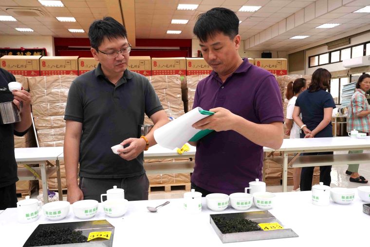新北包種茶飄香國際茶日  張宏圩憑蘭香蜜韻奪冠