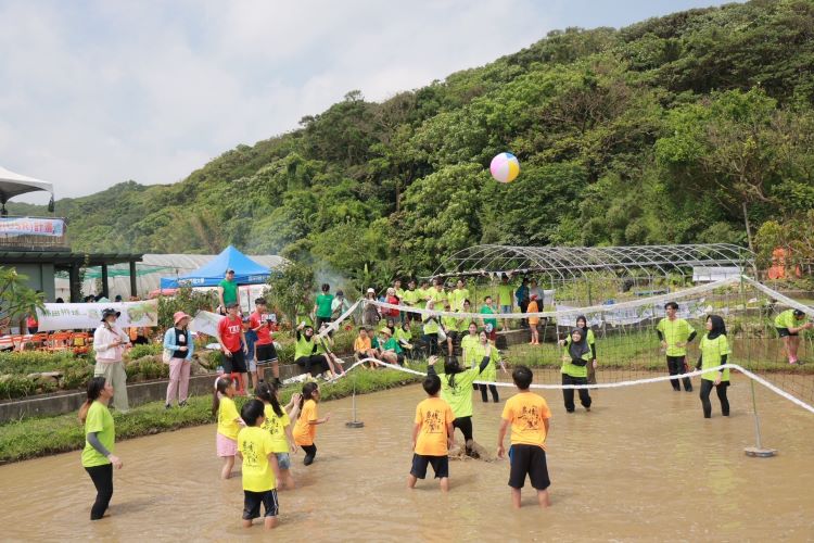 排球賽搬進水梯田　石門食農嘉年華吸引民眾親近土地